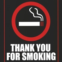 Is Smoking Good for the Nation’s Economy?
