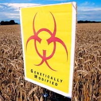 State Dept. Aggressively Pushed Genetically-Modified Crops to Help Agribusiness Giants