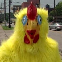 Chicken Suits Banned Near Nevada Polling Places