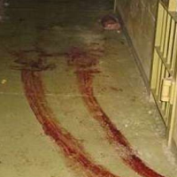 Bipartisan Study Concludes Bush Administration “Indisputably” Sanctioned U.S. Use of Torture