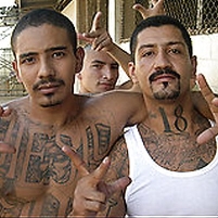 Organized Crime and Gang Bus Tours in Los Angeles and New York
