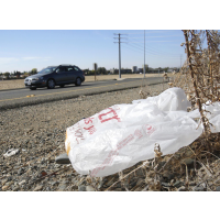 Texas Legislator Claims Partial Ban on Single-Use Plastic Bags Means State is being “Californianized”