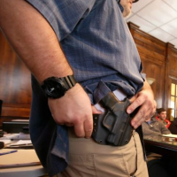 Military-Style Assault Rifles and Small, Concealable Handguns Now Drive U.S. Consumer Gun Sales