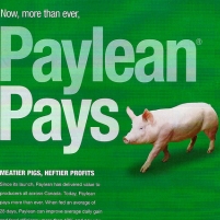 U.S. Pig Farmers Use Drug Banned in China as Unsafe