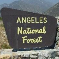 First Ever Wildfire Damage Award; Builders to Pay $36 Million