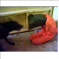 Obama Bans Bush-Era Torture Techniques…For Now