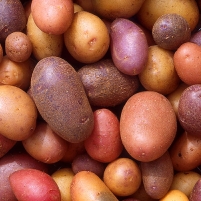 Huge Potato Price-Fixing Lawsuit Heats Up