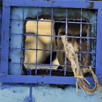 First UN Review in 8 Years Finds U.S. Torture Violations