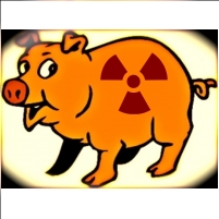 Nuclear Power Subsidies Would Shift Risks from Industry to Taxpayers