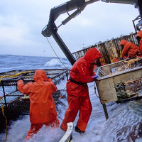 Commercial Fishing Deaths Grow, as Government Slow to Regulate