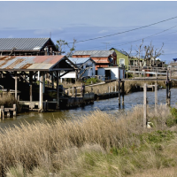 U.S. Government Pays $48 Million to Resettle First American “Climate Change Refugees”