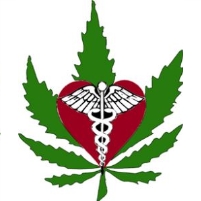 Bipartisan Amendment to Defund Obama Medical Marijuana Raids