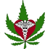 Most Americans Support Medical Marijuana, But U.S. Government May be Stifling Needed Research