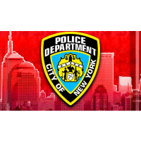 Two Most-Sued Cops in New York Cost City $1.9 Million in Payouts