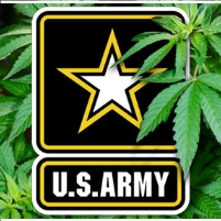 Obama Administration Blocks FDA-Approved Study of Marijuana for Veterans