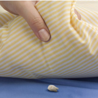 Weak Economy Forces Tooth Fairy to Cut Back on Payouts