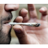 More Americans View Marijuana as Safe While Scientists Find Increasing Risk