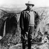 Two Republicans Lead List of Greenest Presidents