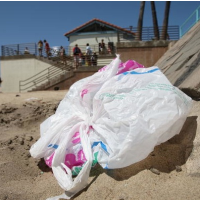 California Legislature First State to Ban Disposable Plastic Bags