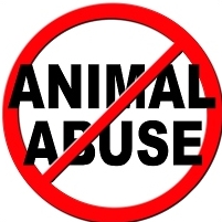Registering Animal Abusers