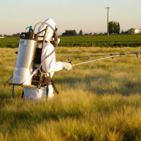 Beekeepers Sue EPA over Failure to Protect Bees from Pesticides