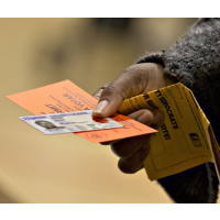 Federal Court Strikes Down Texas Voter ID Law as Discriminatory