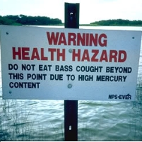 EPA Sued for Allowing Mercury Pollution 900 Times Safe Level