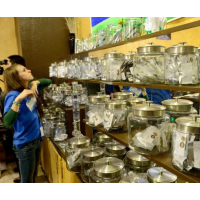 Colorado High on Marijuana Revenue—Billion-Dollar Industry to Bring State More Than $100 Million in Annual Taxes