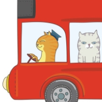 Runaway Pet Cat Makes 2-Month Trip from Wisconsin to Florida