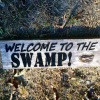 Promises of Bucking Wall Street and “Draining the Swamp” are broken with Trump Cabinet Choices