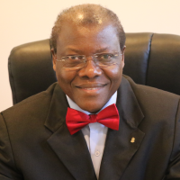 Ambassador of Zambia to the United States: Who Is Ngosa Simbyakula?