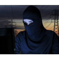 U.S. Utility Firms Worry about Insurance Coverage in Event of Power Grid Cyber Attack