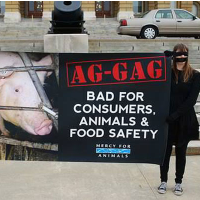 Four Charged with Violating Utah’s “Ag-Gag” Law