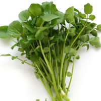For Good Health, Eat Your Watercress and Chinese Cabbage…and Forget Onions and Blueberries