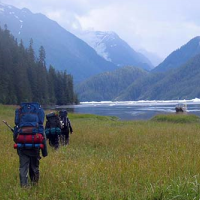 Divided Federal Court Rules Agriculture Dept. Improperly Exempted Nation’s Largest National Forest from Roadless Rule