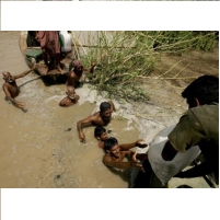 Did Illegal Logging Add to the Flooding Disaster in Pakistan?