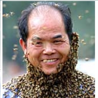 China Accused of Smuggling Honey into U.S.