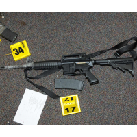 Federal Law Shielding Gun Makers from Liability Deals Blow to Sandy Hook Families’ Lawsuit