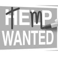 The Precarious Life of Temp Workers
