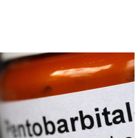 Missouri Officials Prevented by Judge from Using Controversial Drug for Execution