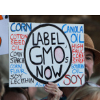 Connecticut’s New Law Ordering Labeling of GMO Foods not as Big a Deal as it Seems