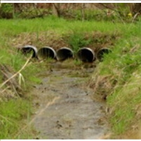 Dumped Drugs Pollute U.S. Water—Legally
