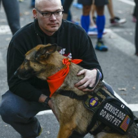 Service Dog Industry Hurt by People Using Fake IDs to Travel with Pets