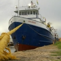 For First Time in 50 Years, U.S. Cargo Ship Delivers Goods Directly to Cuba