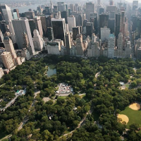 Trees Credited with Saving U.S. $6.8 Billion a Year in Health Costs