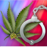 Marijuana Arrests Keep Drug Enforcers in Business