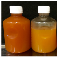 Never-Before-Seen Bacteria Discovered in Depths of Fracking Wells