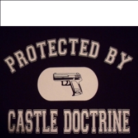 Recent “Stand Your Ground” Laws Extend Justifiable Home Protection Violence into the Streets