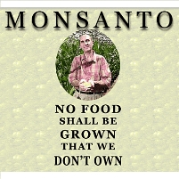 Monsanto Muscles Out Competition in Seed Business
