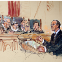 1% of Lawyers Filing Appeals to Supreme Court Account for 43% of Accepted Cases; Most Represent Corporations